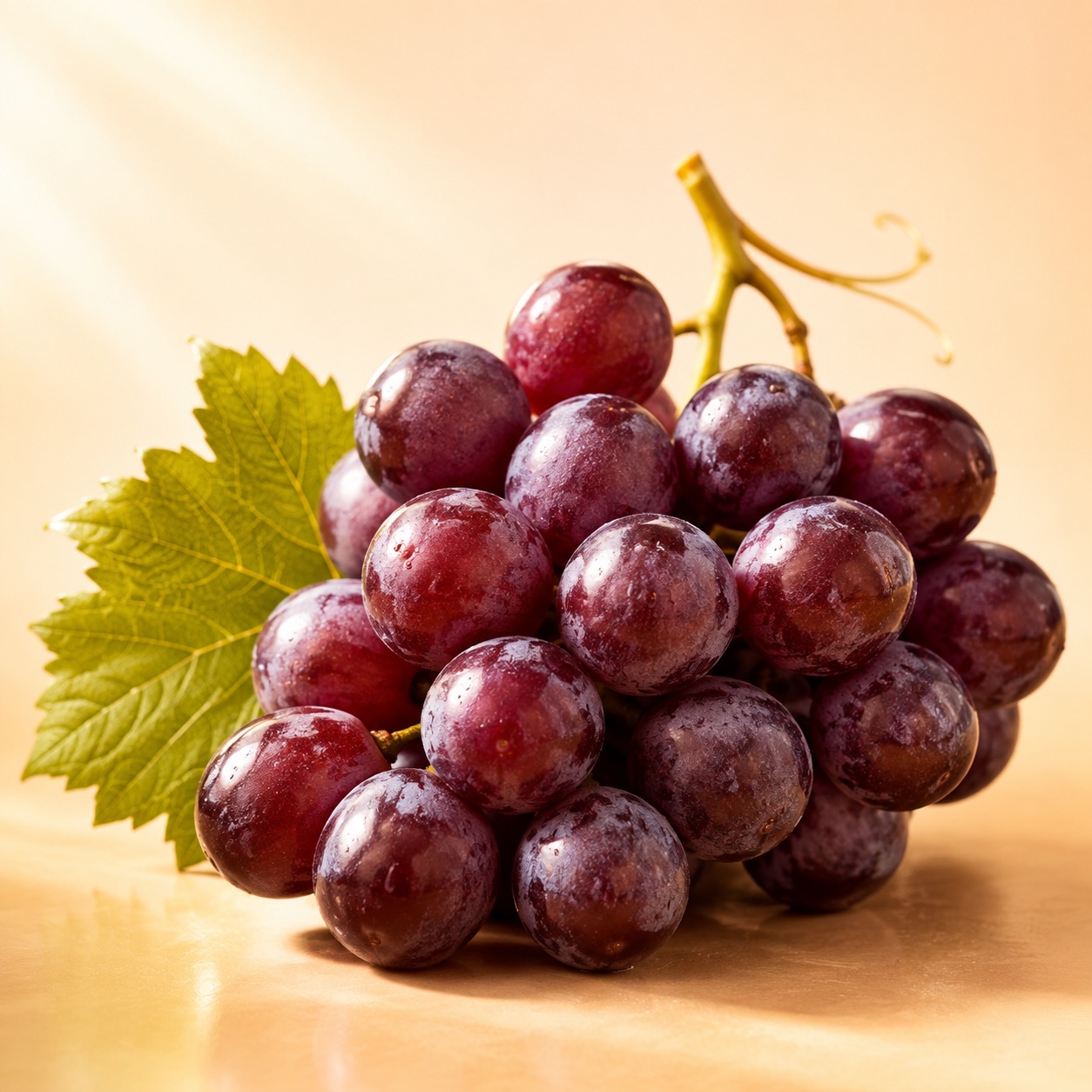 Dark grapes with leaves